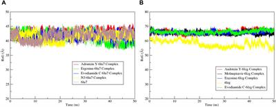 Identifying plant-derived antiviral alkaloids as dual inhibitors of SARS-CoV-2 main protease and spike glycoprotein through computational screening